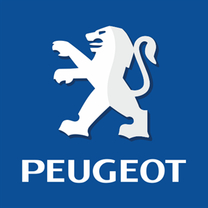 Peugeot Boxer 2.0 BlueHDI 130hp dcm6.2C